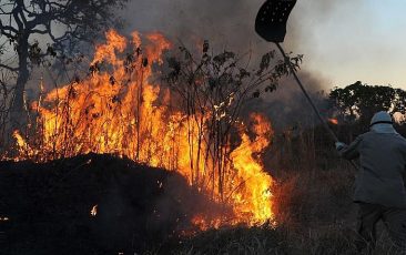 Entidades denunciam tentativa de controle de ONGs na Amazônia pelo governo