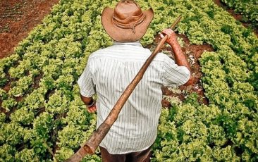 Governo Bolsonaro abandonou reforma agrária