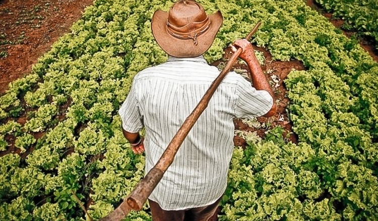 Governo Bolsonaro abandonou reforma agrária