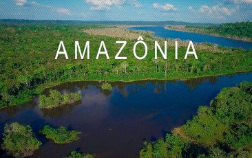 “A Amazônia é nossa”, escreve Paulo Rocha