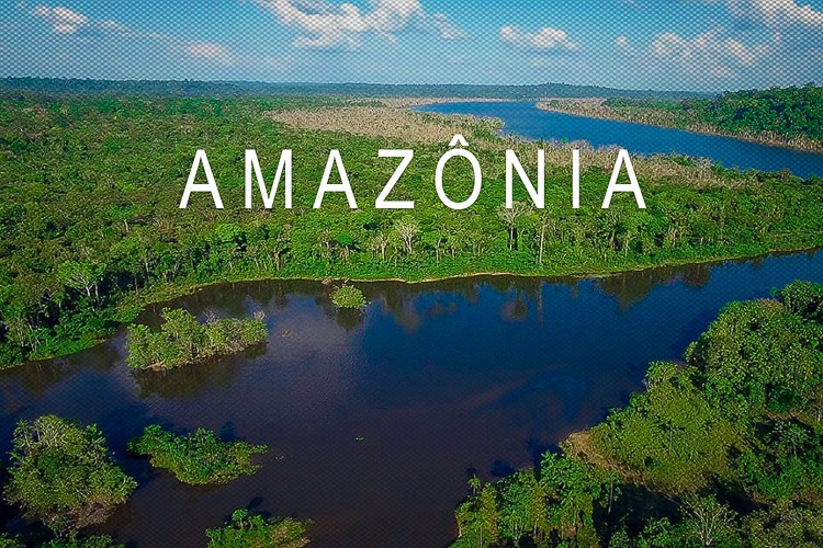 “A Amazônia é nossa”, escreve Paulo Rocha