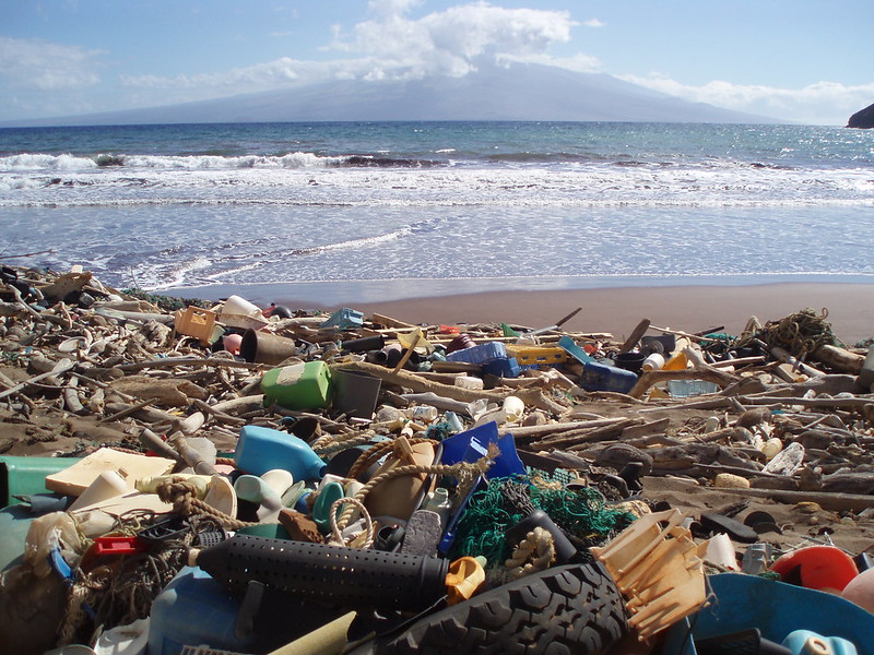 Combate à poluição por plástico marca Dia Mundial dos Oceanos