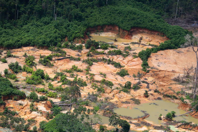 Ações do governo fazem Brasil retroceder em metas climáticas