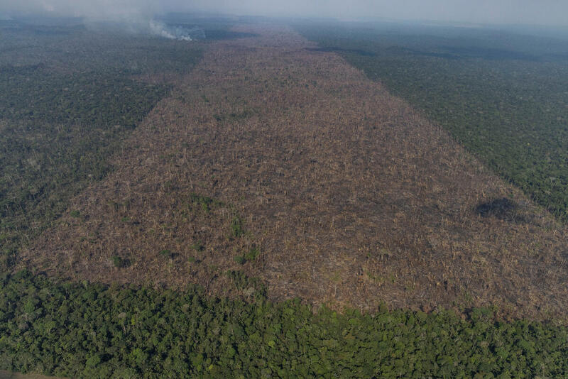 Desmatamento e incêndios batem recordes na Amazônia