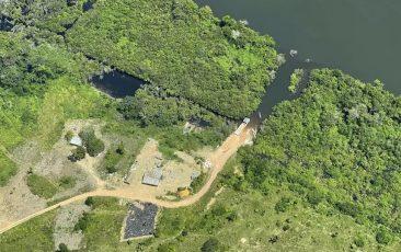 Indígenas do Pará perdem cada vez mais florestas para o corte ilegal
