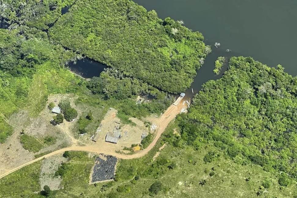 Indígenas do Pará perdem cada vez mais florestas para o corte ilegal