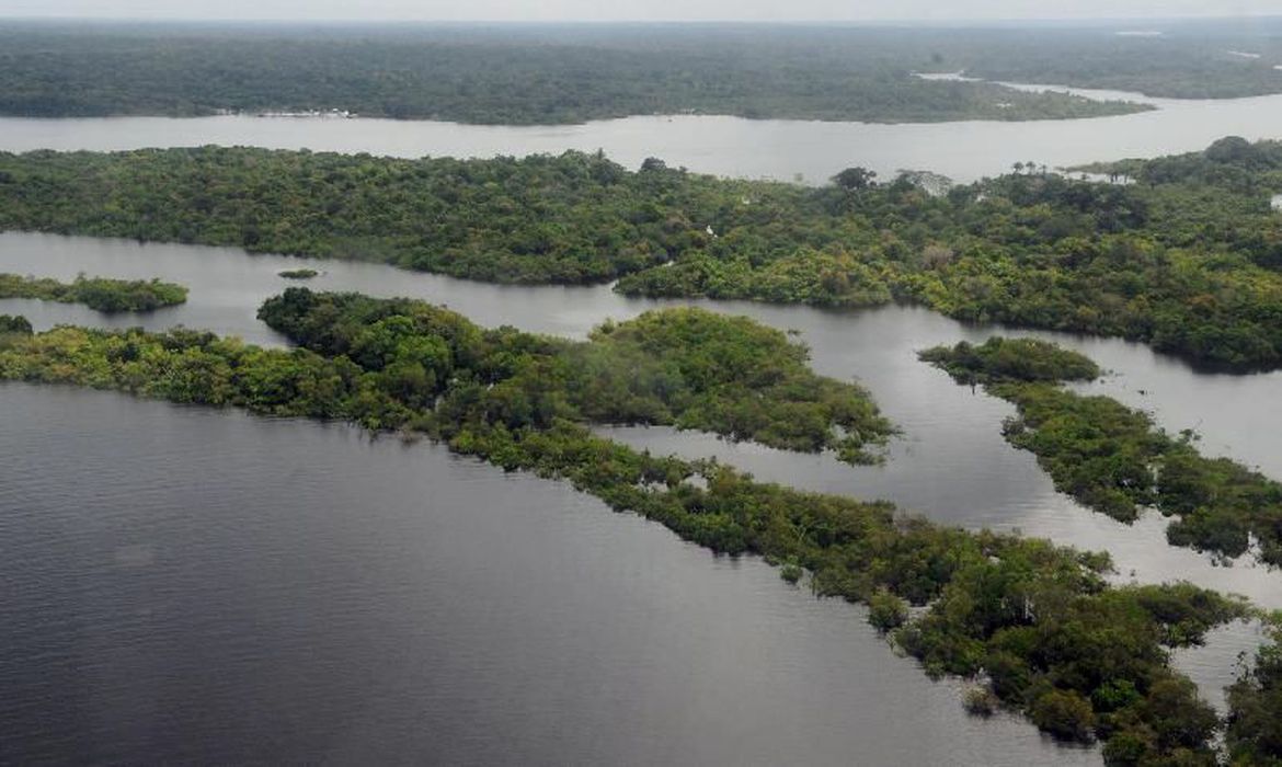 Senadores comemoram volta do apoio da Noruega à Amazônia