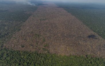 Desmatamento bate novo recorde na Amazônia em setembro
