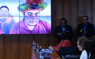 Yanomamis: governo Bolsonaro incentivou a violência na região