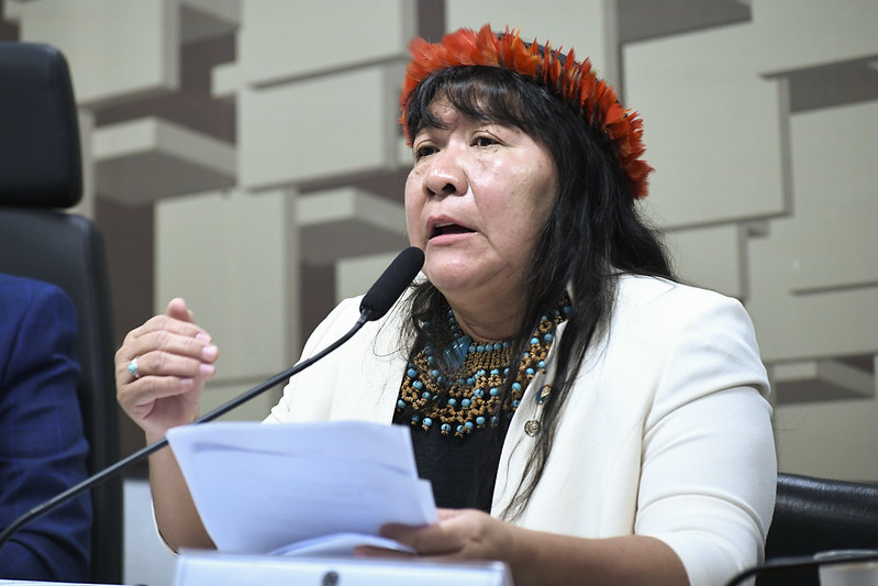 Crise Yanomami: “Se tivesse ido, levaria tiro”, diz presidenta da Funai