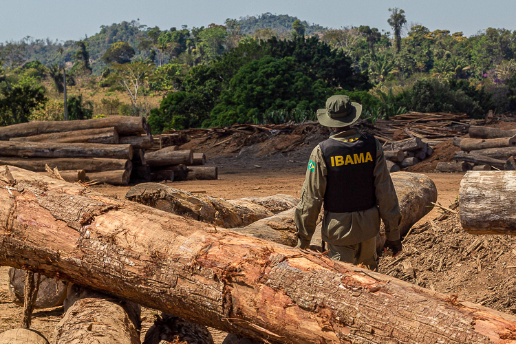 Com Lula, desmatamento na Amazônia tem queda de 33,6%