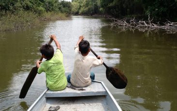 PT no Senado reverencia Amazônia com defesa da floresta e dos povos indígenas