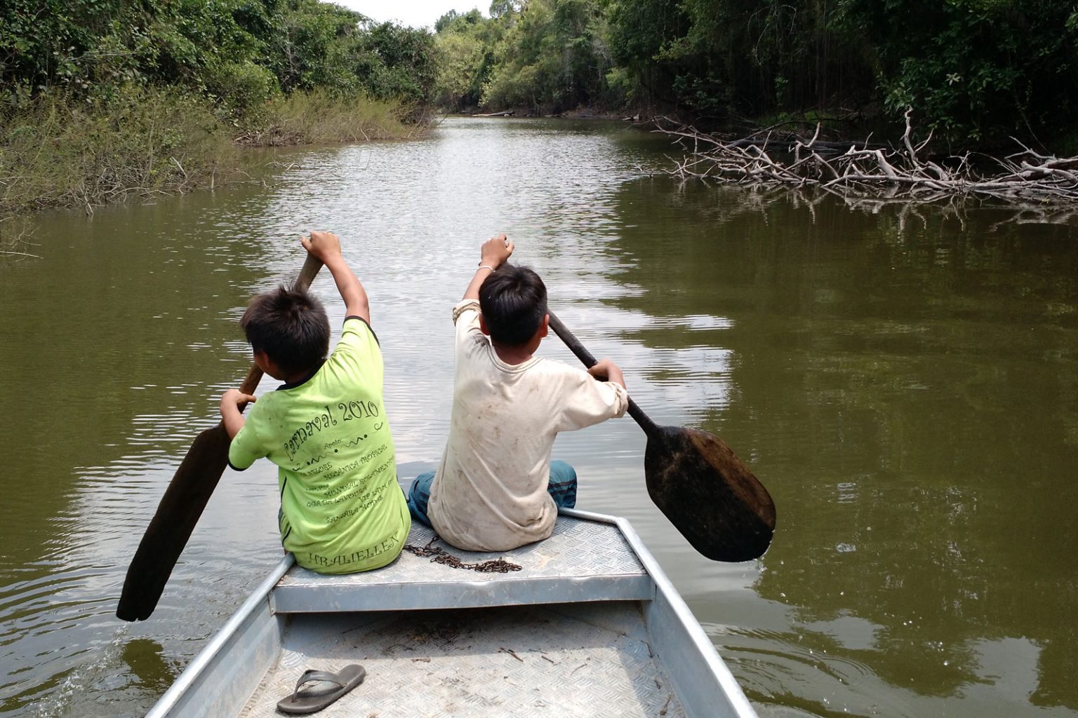 PT no Senado reverencia Amazônia com defesa da floresta e dos povos indígenas