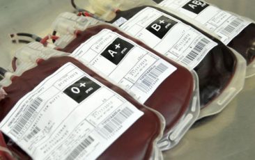 Com votos contrários do PT, comissão aprova “mercado de sangue” no país