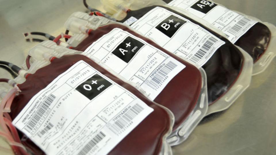 Com votos contrários do PT, comissão aprova “mercado de sangue” no país