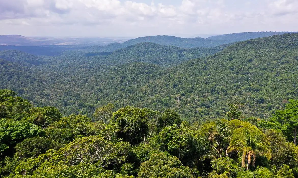 Desmatamento na Amazônia no primeiro bimestre é o mais baixo dos últimos seis anos 