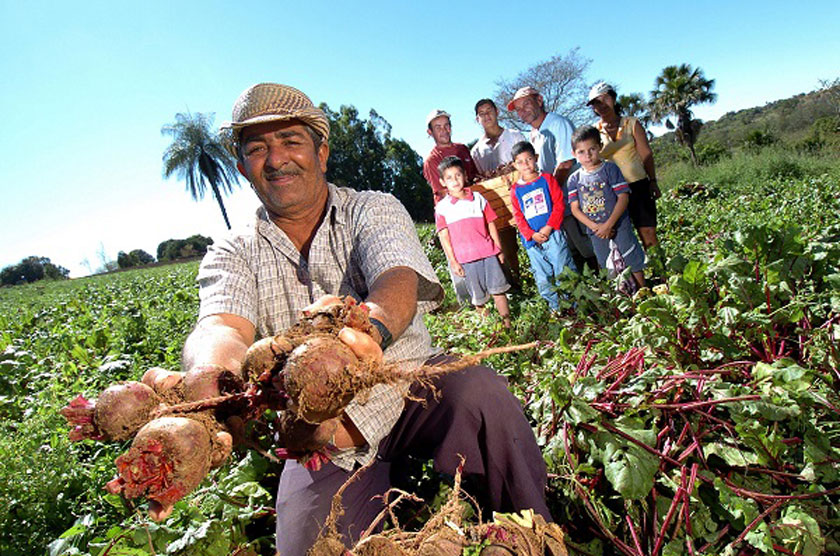 Agricultura familiar terá R$ 85,7 bi, com juros mais baixos, para produção de alimentos básicos
