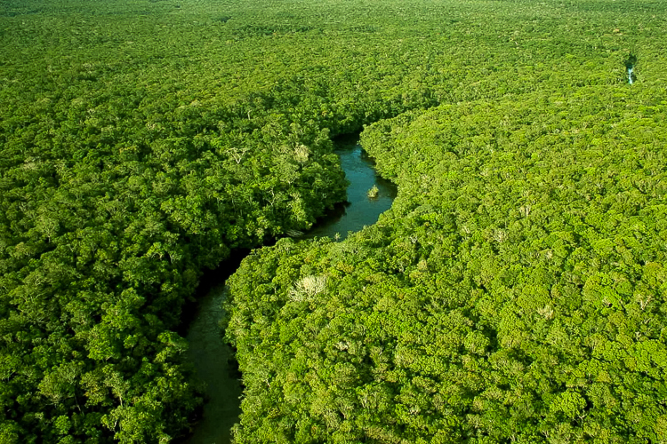 Desmatamento na Amazônia Legal é o menor em 10 anos