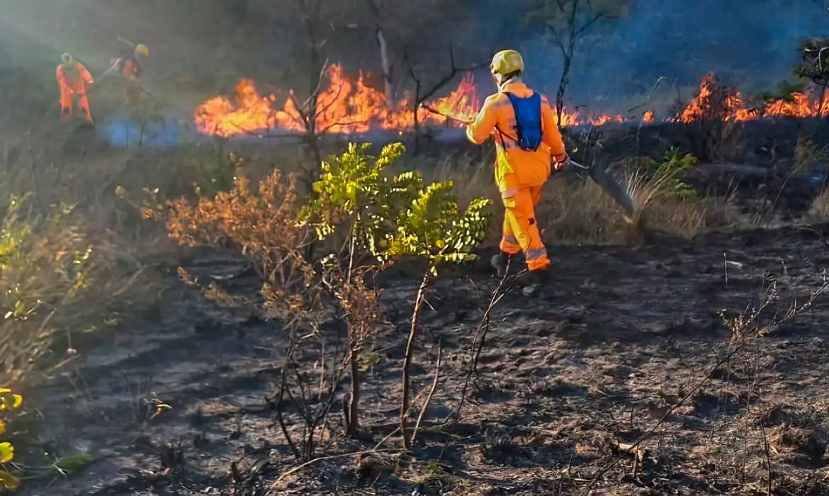 Senado vai debater incêndios florestais e mudanças climáticas