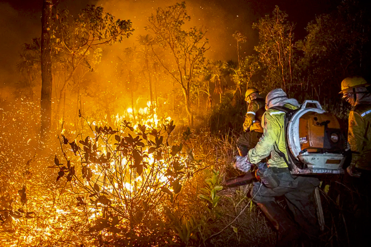 Incêndios são 99% resultado da ação humana, aponta especialista da UFRJ