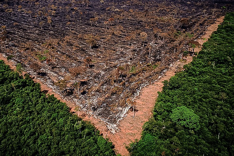 Emergência climática e agricultura, por Beto Faro