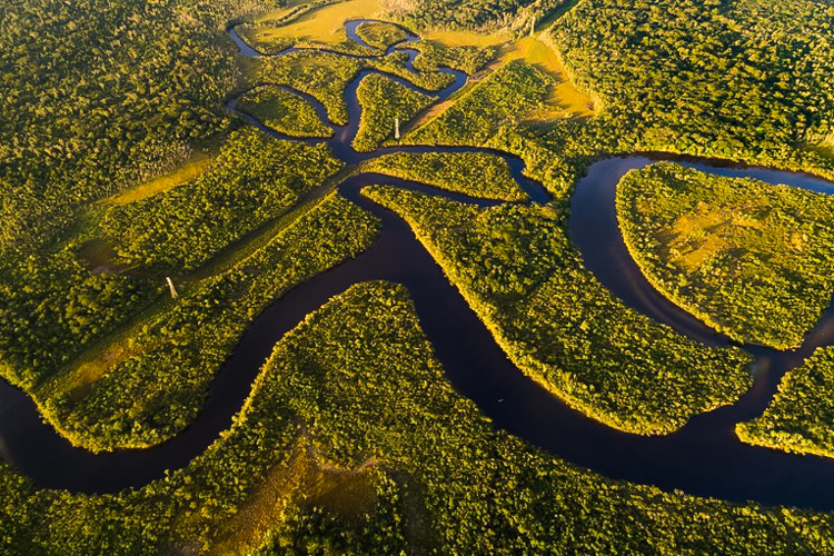 Fundo Amazônia alcança recorde de R$ 882 milhões em projetos