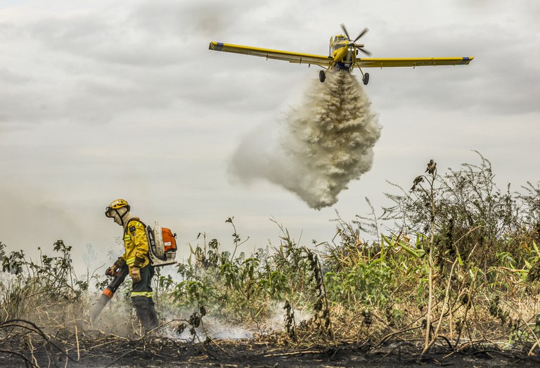 Senado aprova R$ 514,5 milhões para combate a  queimadas e seca na Amazônia