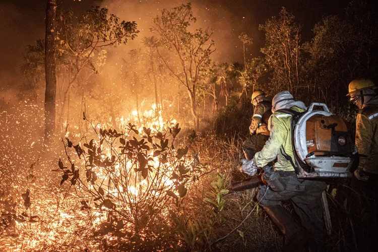 Aprovado na Câmara projeto que reforça combate a incêndios e resposta a desastres