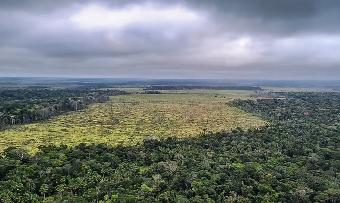 Enfraquecimento da legislação ambiental representa enorme retrocesso, avaliam senadores