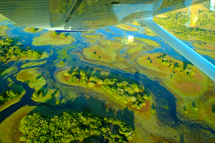 Desmatamento registra queda de 75% no Pantanal, entre agosto de 2024 e abril de 2025