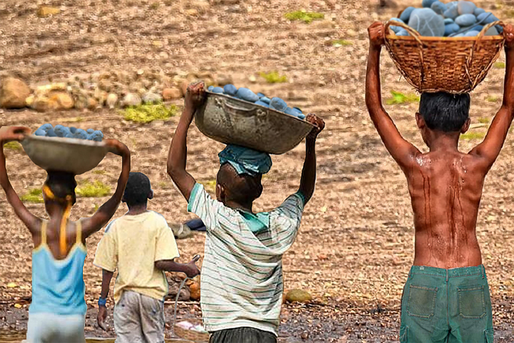 Governo Lula retira 6.372 crianças e adolescentes do trabalho infantil