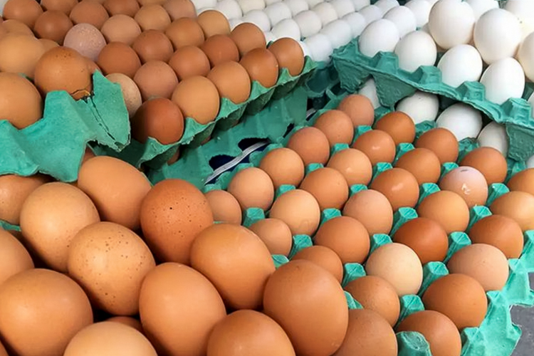 Com queda no preço dos alimentos, IPCA desacelera para 0,24% em junho