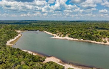 Lula celebra resultados inéditos no combate ao desmatamento