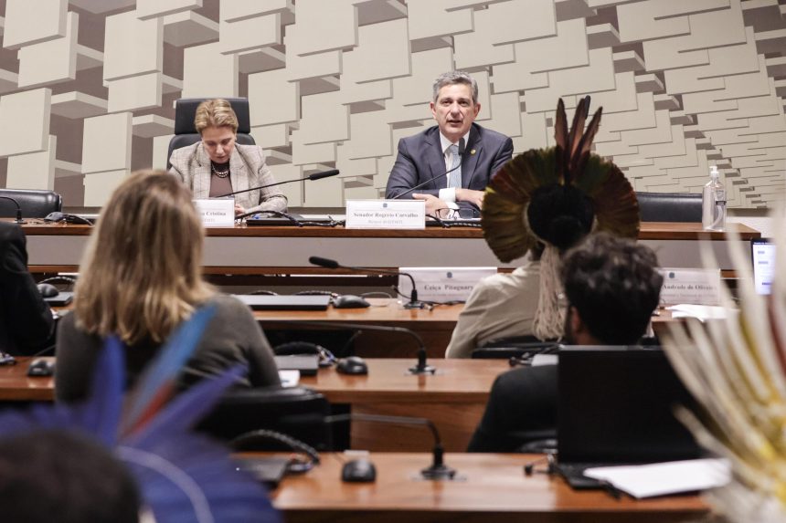 Senador Rogério defende proteção aos povos indígenas em debate sobre regulamentação da mineração em terras tradicionais