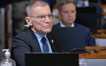 Comissão aprova medida para proibir abate de jumentos no país