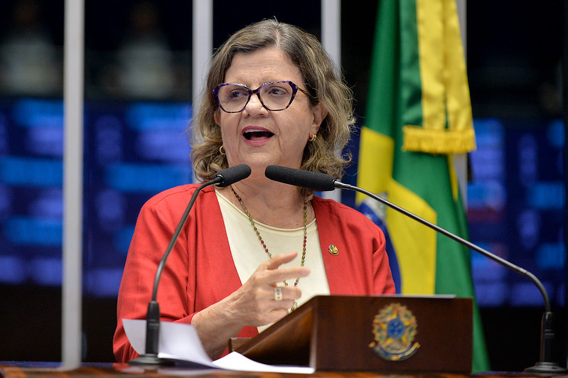 Teresa Leitão defende soberania nacional sobre minerais críticos e terras raras
