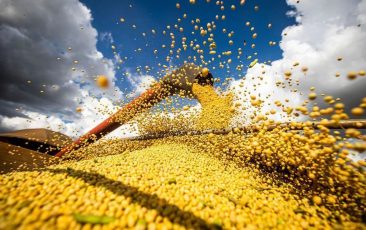 Governo Lula investe R$ 525 bilhões para fortalecer o agro, gerar empregos e garantir alimentos