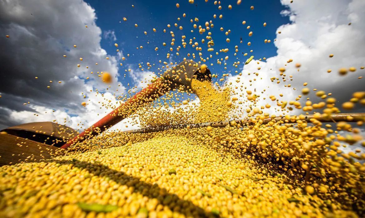 Governo Lula investe R$ 525 bilhões para fortalecer o agro, gerar empregos e garantir alimentos