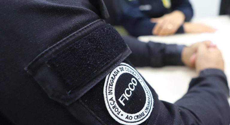 Em uma semana, forças de segurança integradas apreendem 2,6 toneladas de drogas