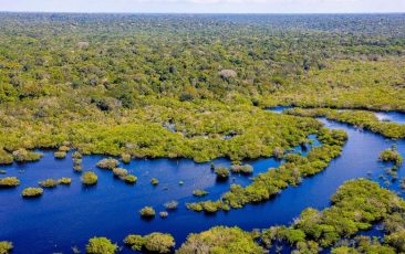 Incêndios na Amazônia atingem menor nível em 41 anos; senadores destacam avanços ambientais