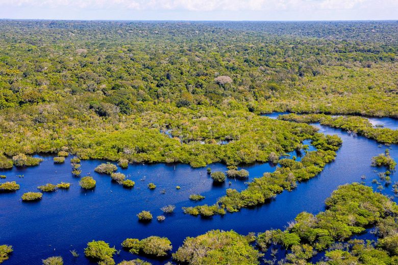 Incêndios na Amazônia atingem menor nível em 41 anos; senadores destacam avanços ambientais