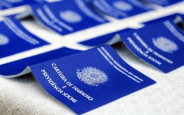 Com desemprego em queda, senadores comemoram recorde de ocupados e destacam rumos da economia