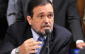 pinheiro