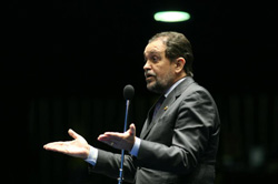 pinheiro_santo