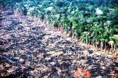 queimada_amazonia