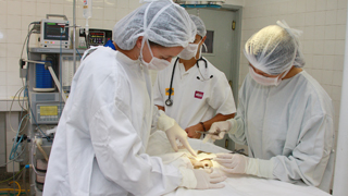 residenciavet006