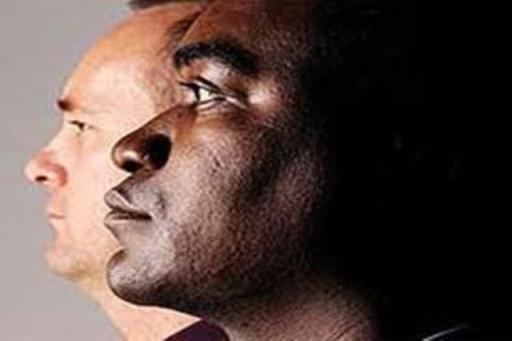 1343687493319-negros-e-pardos1