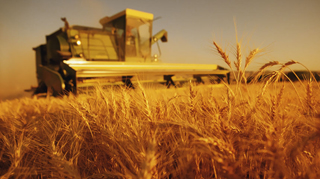 Agriculturainterna