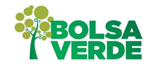 Bolsa-verde1