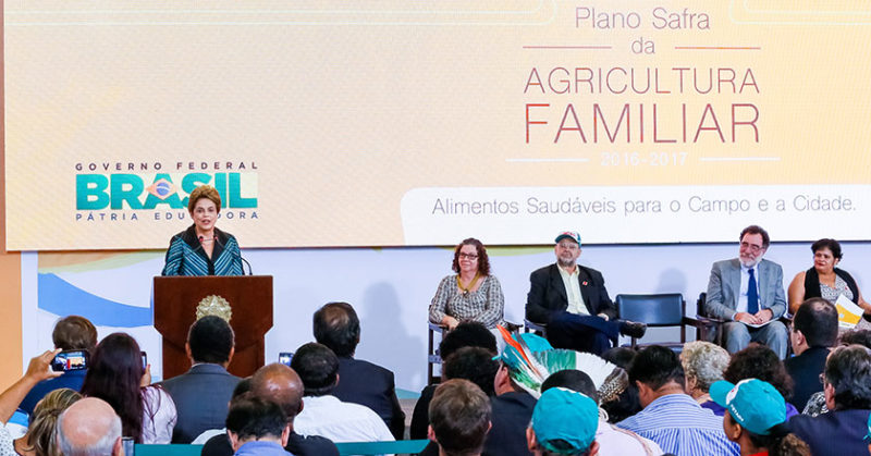 dilma safra 0305